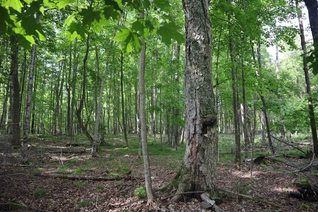 $90,000 | 15 Mikuchonis Lane, Menominee, MI 49858