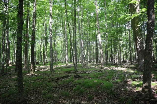 $90,000 | 15 Mikuchonis Lane, Menominee, MI 49858