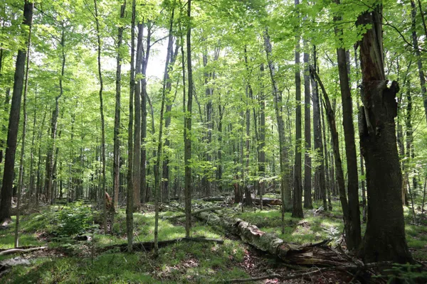 $90,000 | 15 Mikuchonis Lane, Menominee, MI 49858