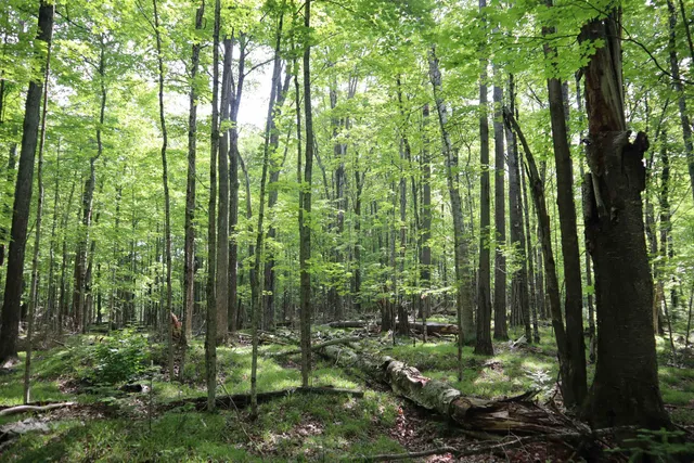 $90,000 | 15 Mikuchonis Lane, Menominee, MI 49858