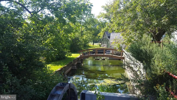a view of a yard