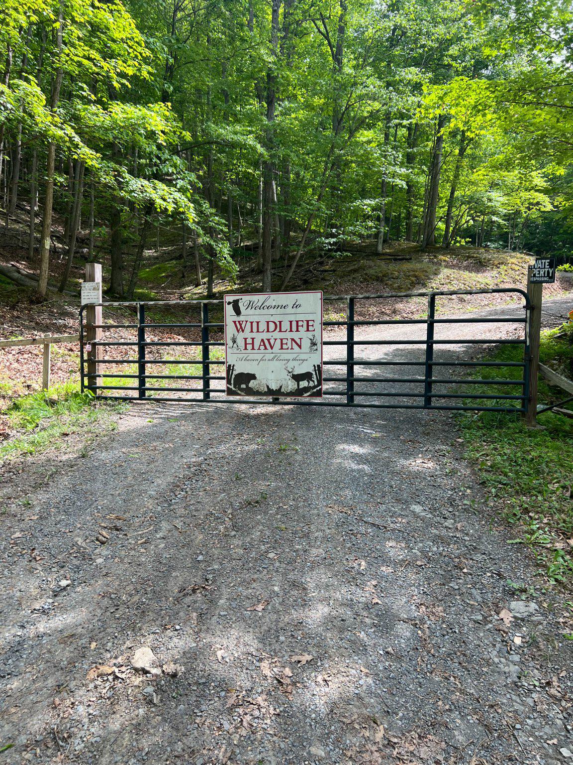 Edgar Lane Upper Tract, WV 26866 - Photo 1 of 22 Entrance to Wildlife Haven gated community.
