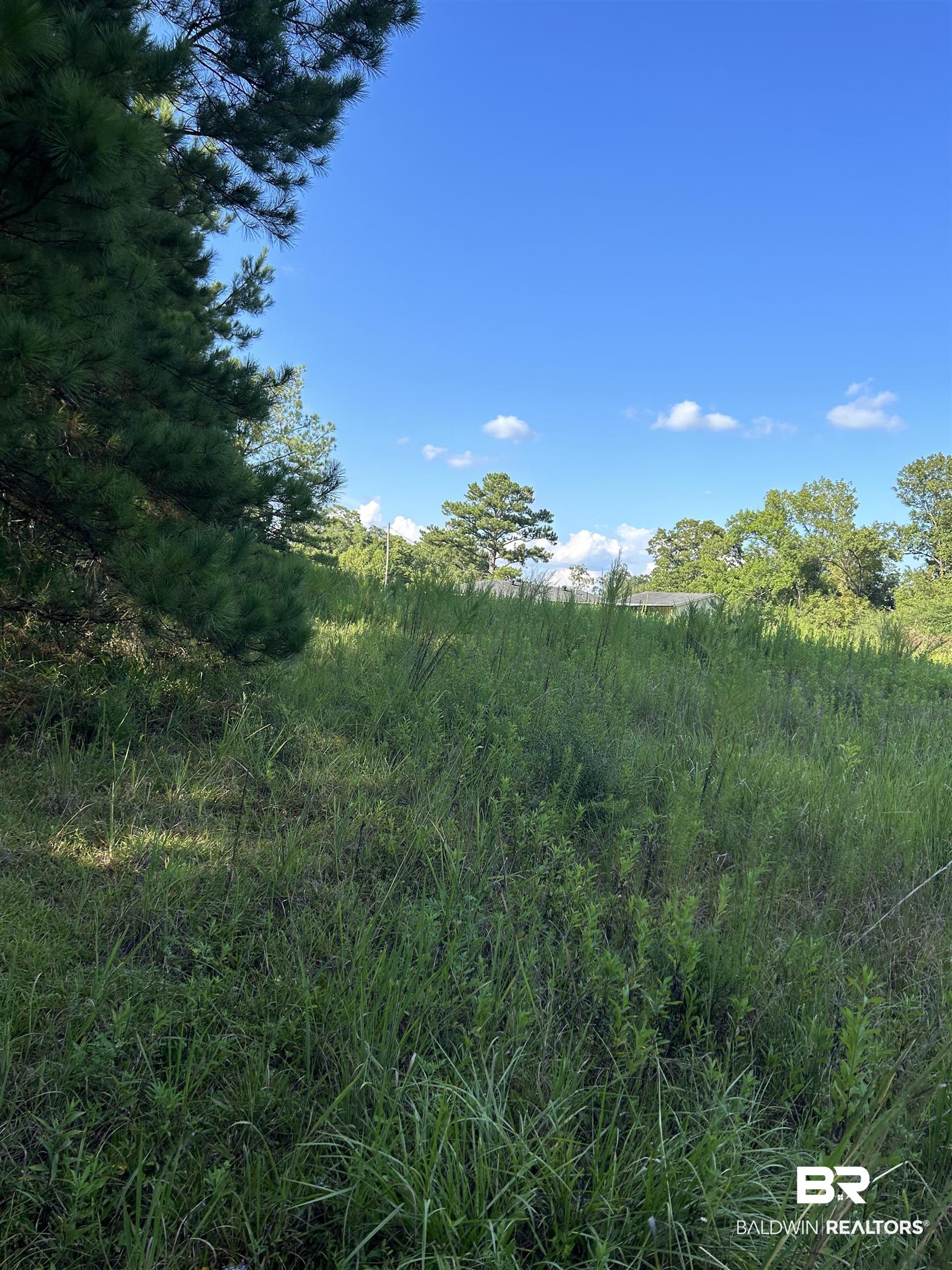 0 Quinley Road Bay Minette, AL 36507 - Photo 3 of 6