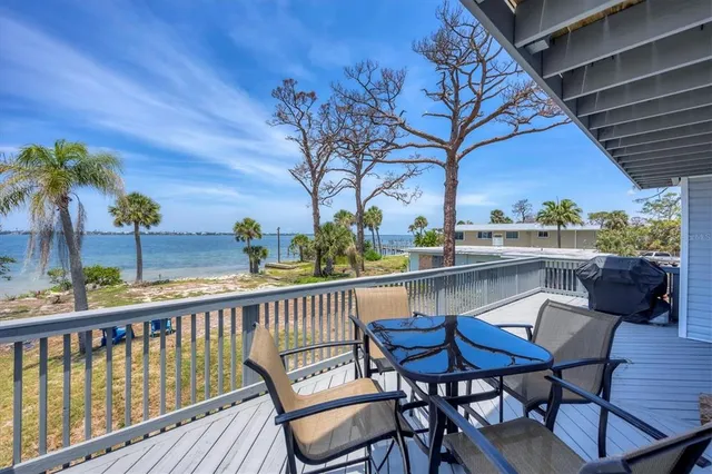 a view of a yard with palm tree
