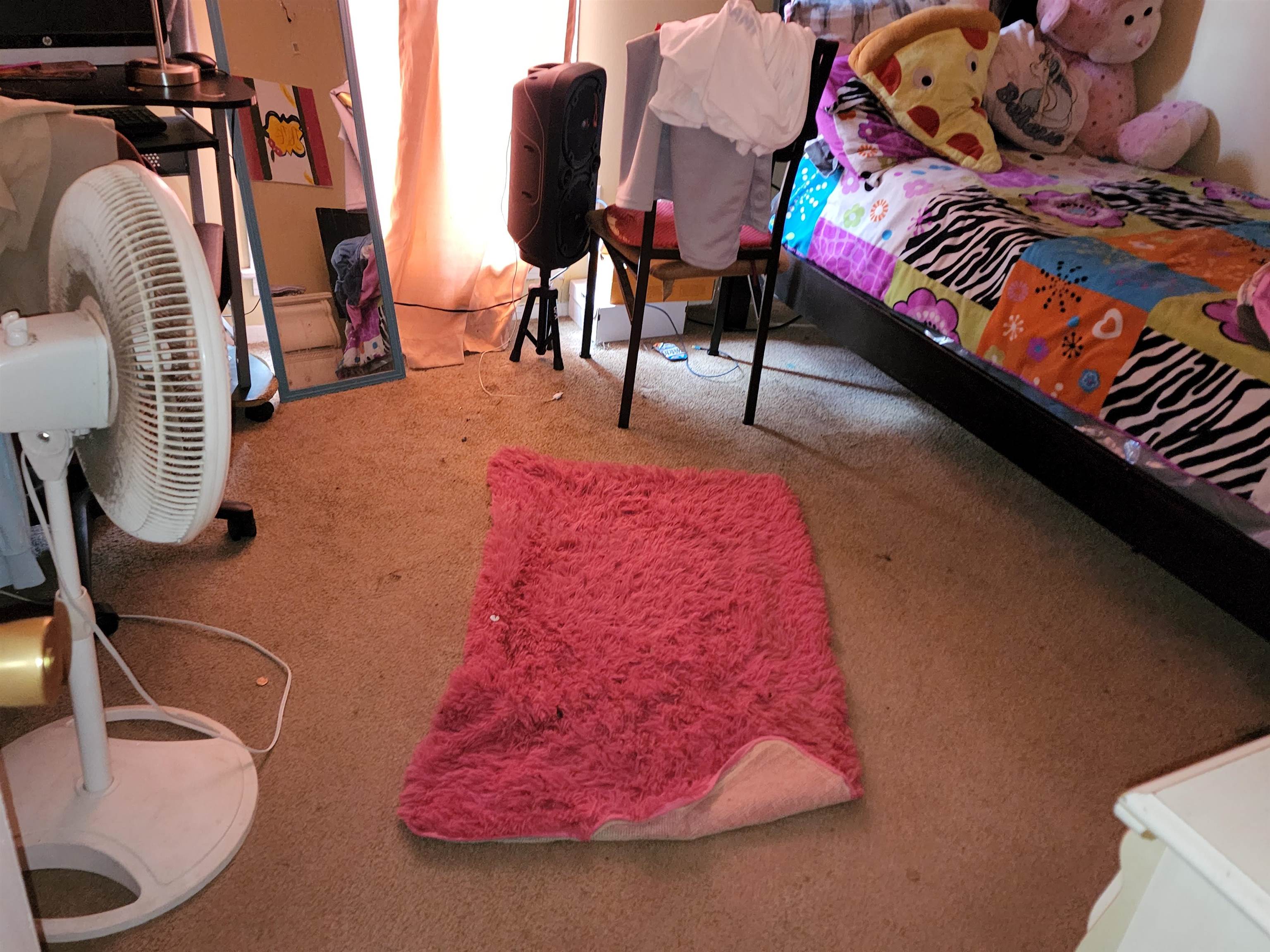 1694 Winfield Road Memphis, TN 38116 - Photo 15 of 19 a bath room with a rug
