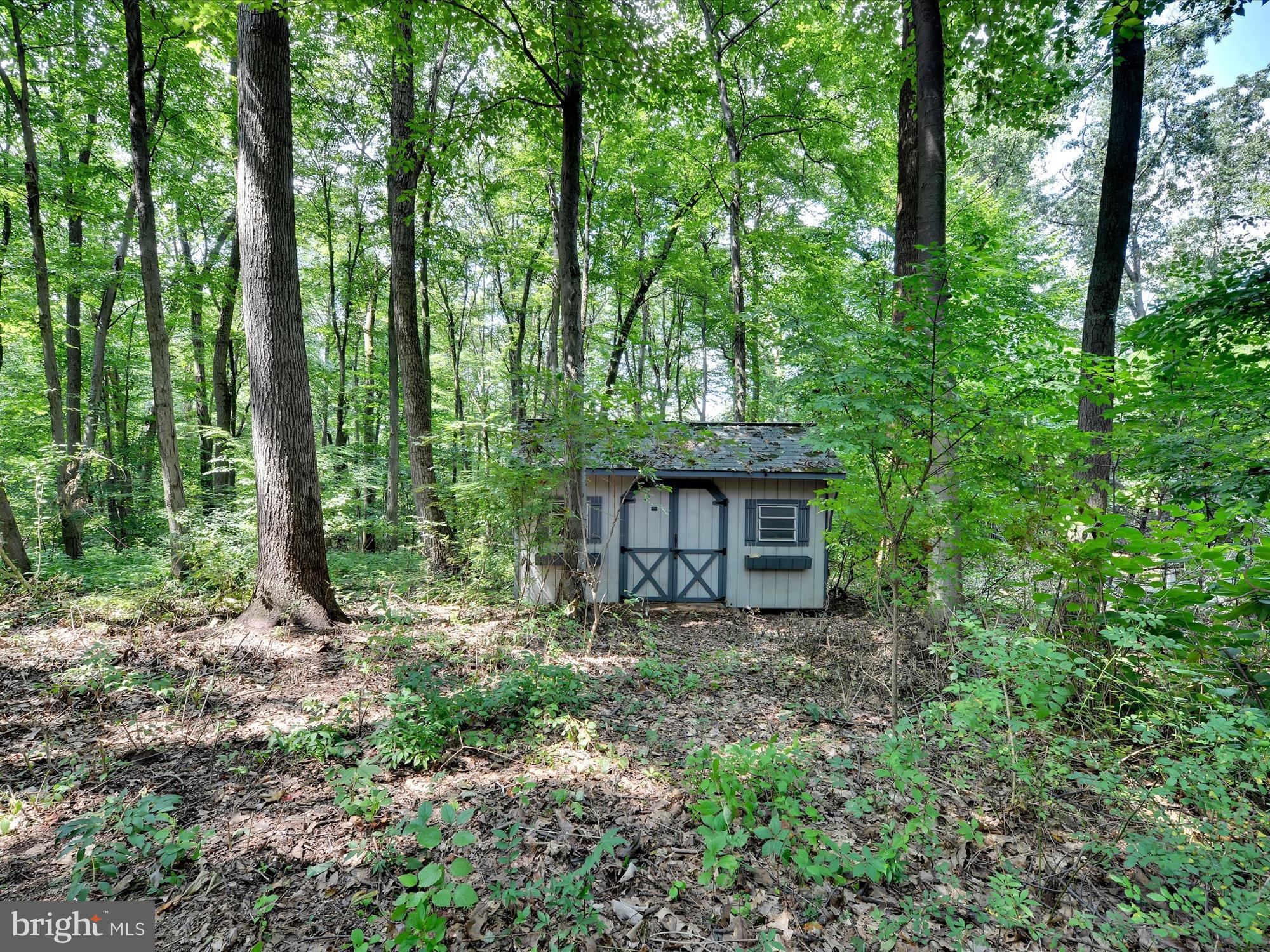 540 Hill Road Denver, PA 17517 - Photo 17 of 25 a view of a wooden house with large trees