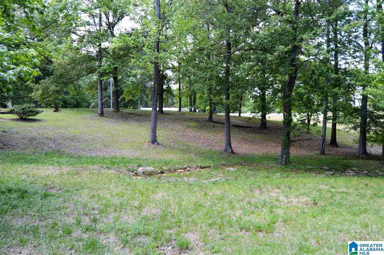 5281 Hollis Goodwin Road Dora, AL 35062 - Photo 39 of 49