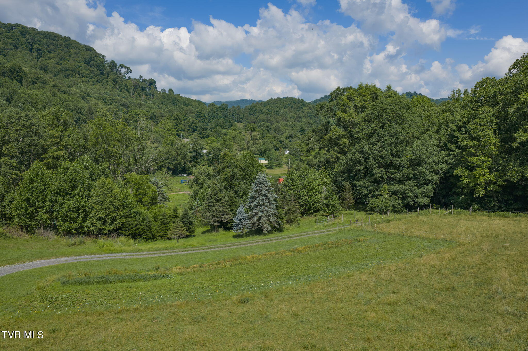 120 Teaberry Road Roan Mountain, TN 37687 - Photo 8 of 56 7-web-or-mls-DJI_20260612111633_0236_D