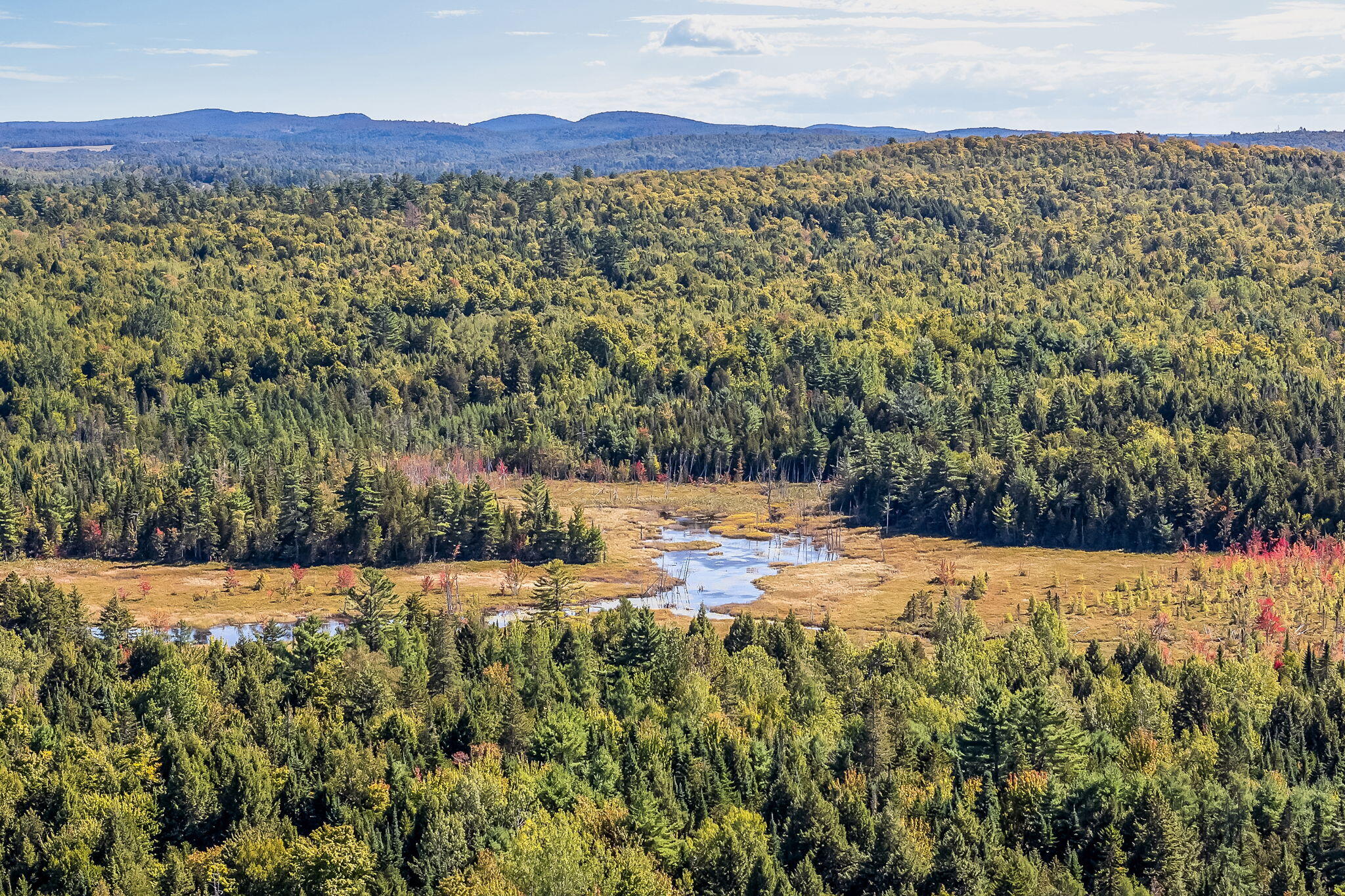 738 N Road Lee, ME 04455 - Photo 35 of 37 43-web-or-mls-738-n-rd