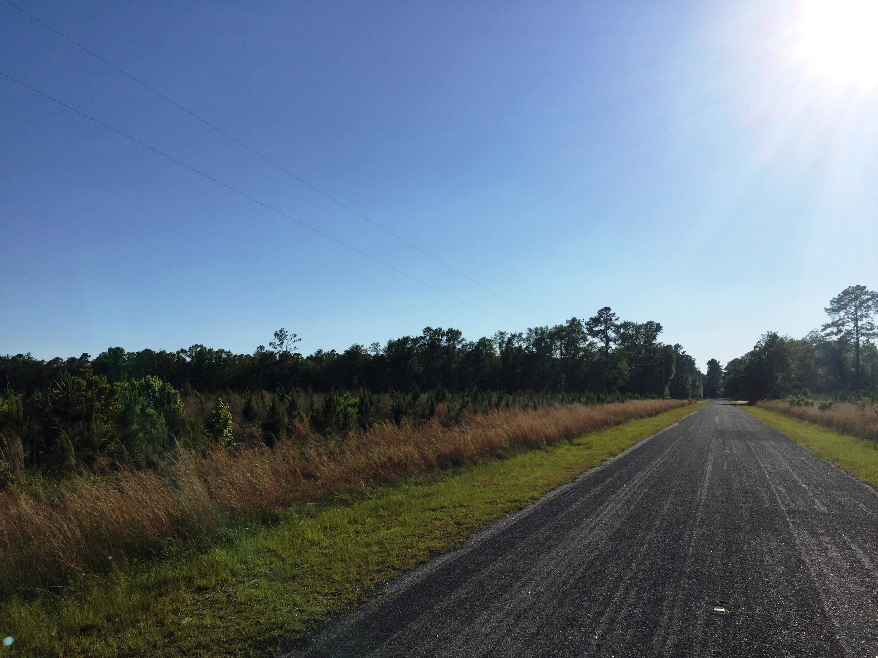 0 Paradise Road Ruffin, SC 29475 - Photo 1 of 1 Paradise Road South Tract