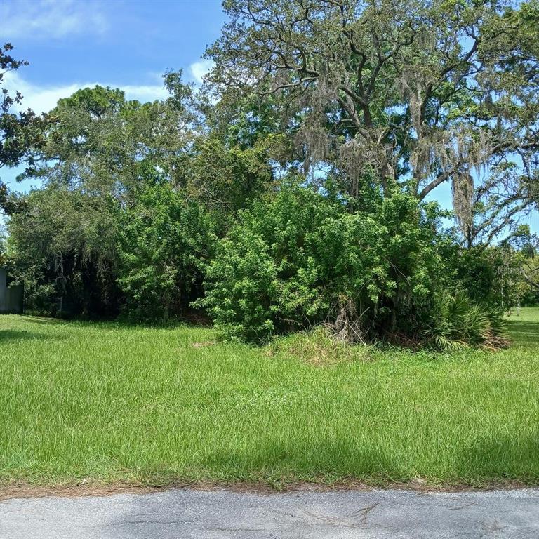 Lyle Circle Hudson, FL 34667 - Photo 1 of 6
