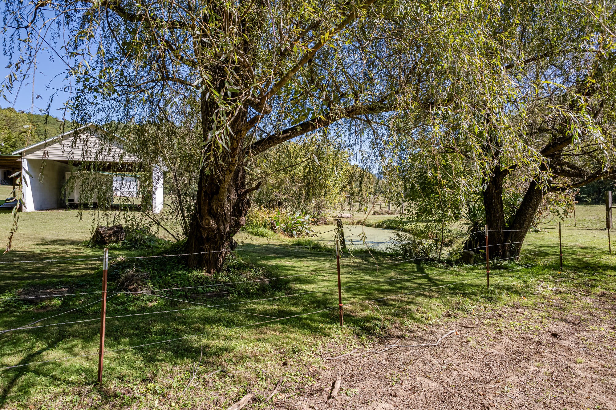 2443 Fairview Road Madisonville, TN 37354 - Photo 33 of 50 Gallery Image 33