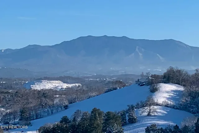 $689,000 | 446 Maggie Mack Lane, Sevierville, TN 37862