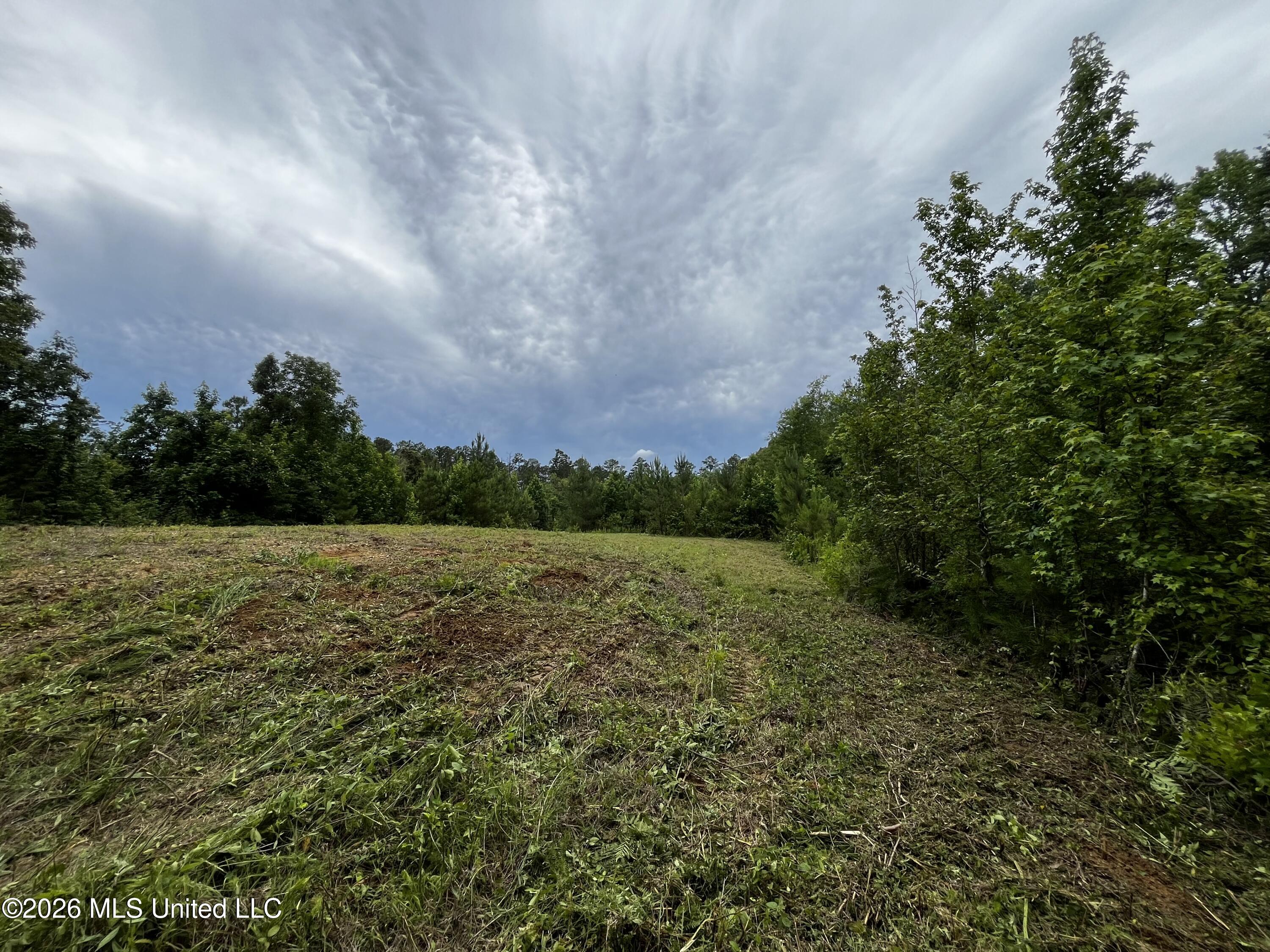Cline Road Wesson, MS 39191 - Photo 3 of 16 IMG_1163