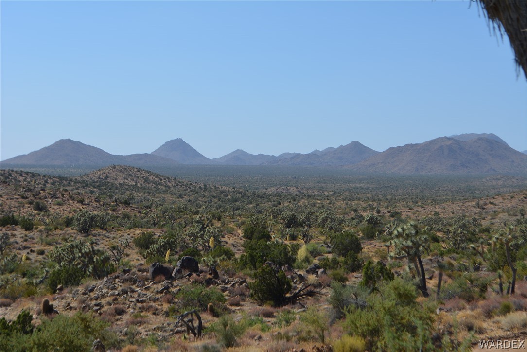 2396 Appaloosa Road Yucca, AZ 86438 - Photo 11 of 50 Gallery Image 11