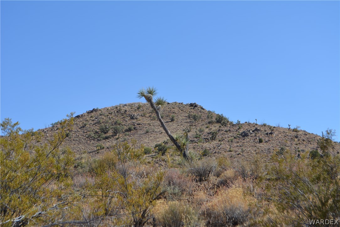 2396 Appaloosa Road Yucca, AZ 86438 - Photo 12 of 50 Gallery Image 12