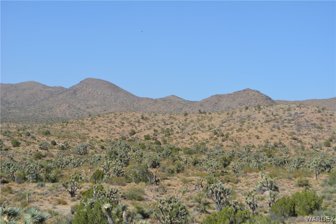 2396 Appaloosa Road Yucca, AZ 86438 - Photo 15 of 50 Gallery Image 15