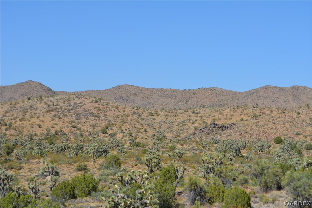 2396 Appaloosa Road Yucca, AZ 86438 - Photo 16 of 50 Gallery Image 16