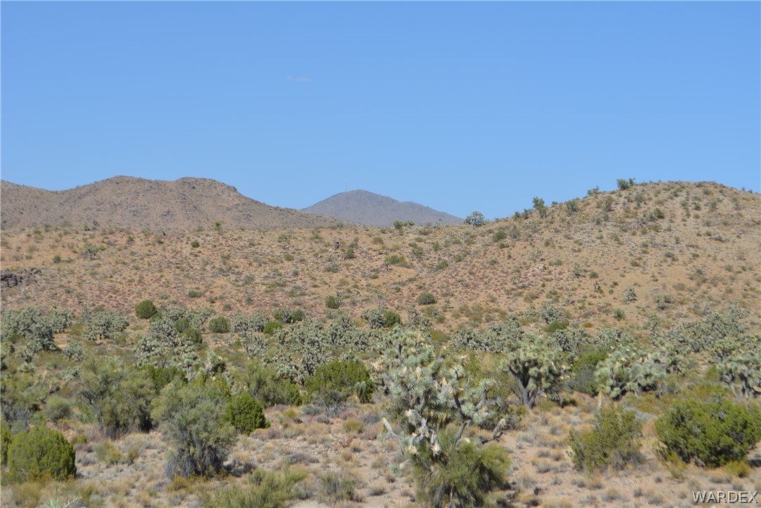 2396 Appaloosa Road Yucca, AZ 86438 - Photo 17 of 50 Gallery Image 17