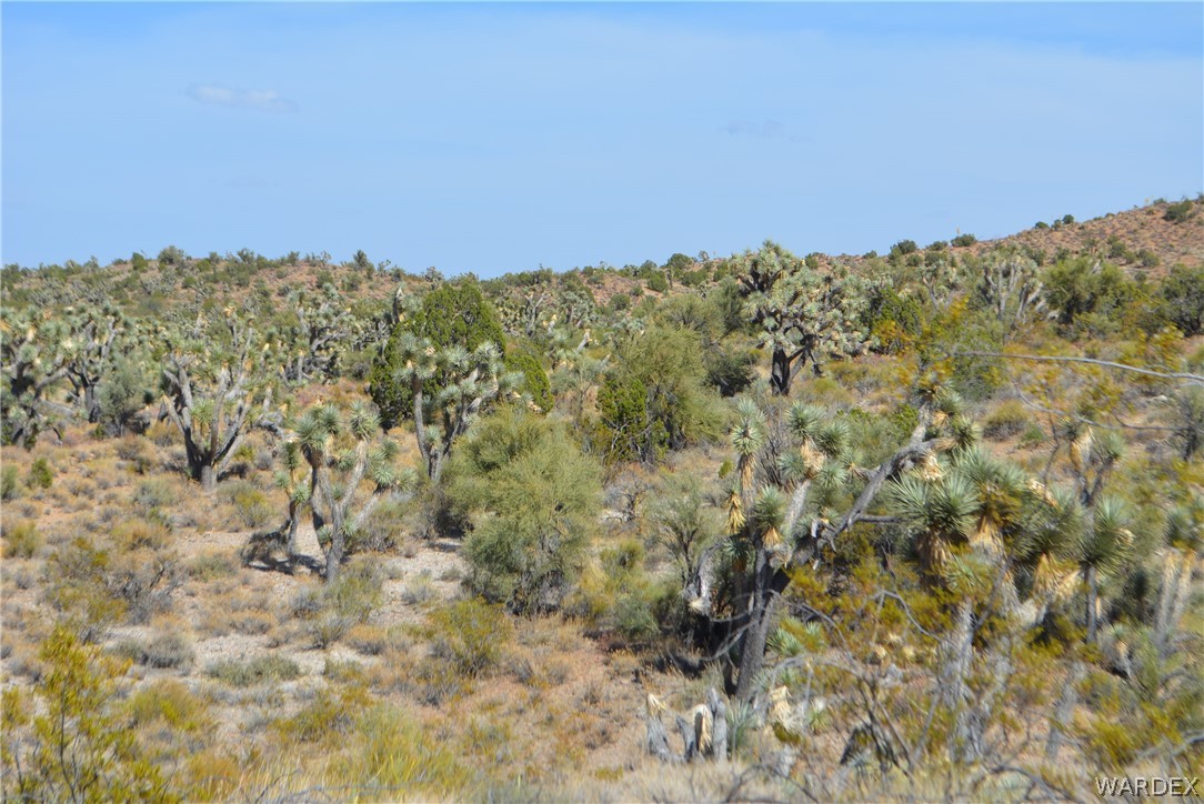 2396 Appaloosa Road Yucca, AZ 86438 - Photo 20 of 50 Gallery Image 20