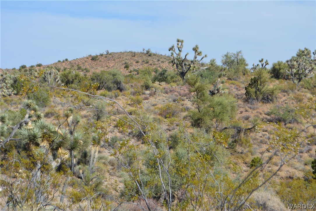 2396 Appaloosa Road Yucca, AZ 86438 - Photo 21 of 50 Gallery Image 21