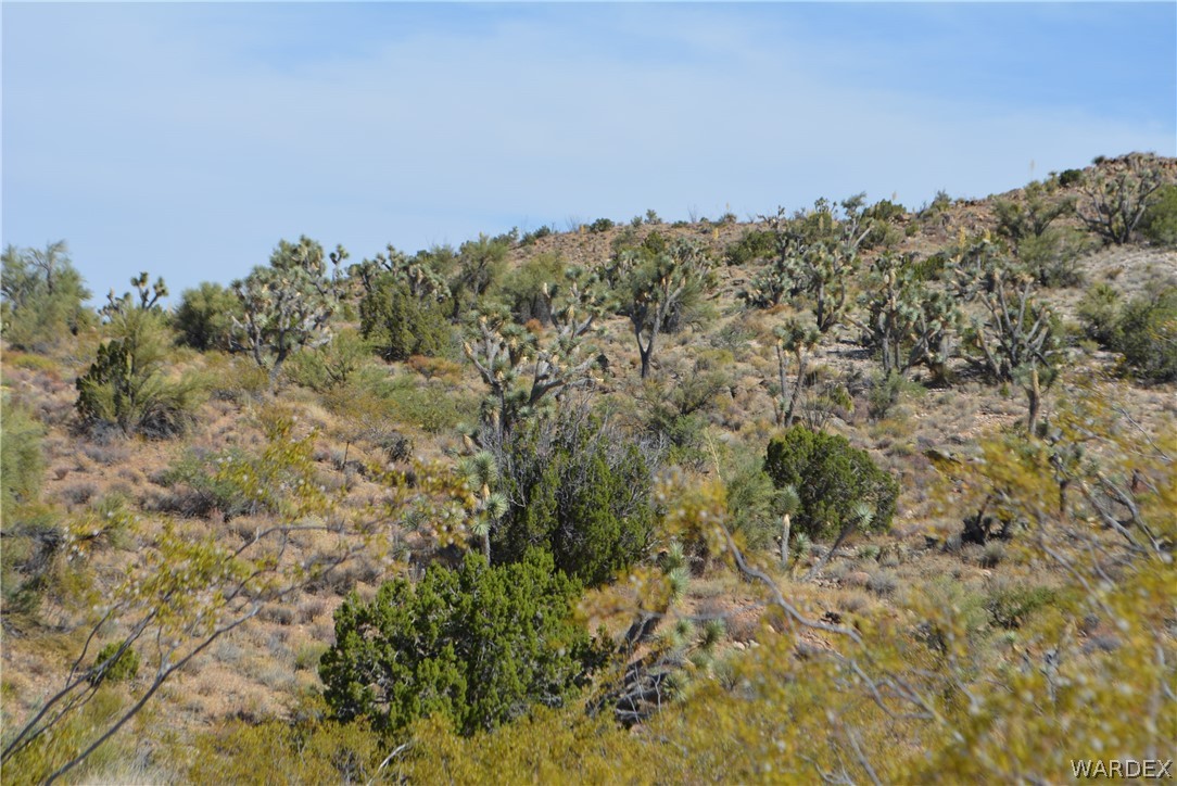 2396 Appaloosa Road Yucca, AZ 86438 - Photo 22 of 50 Gallery Image 22