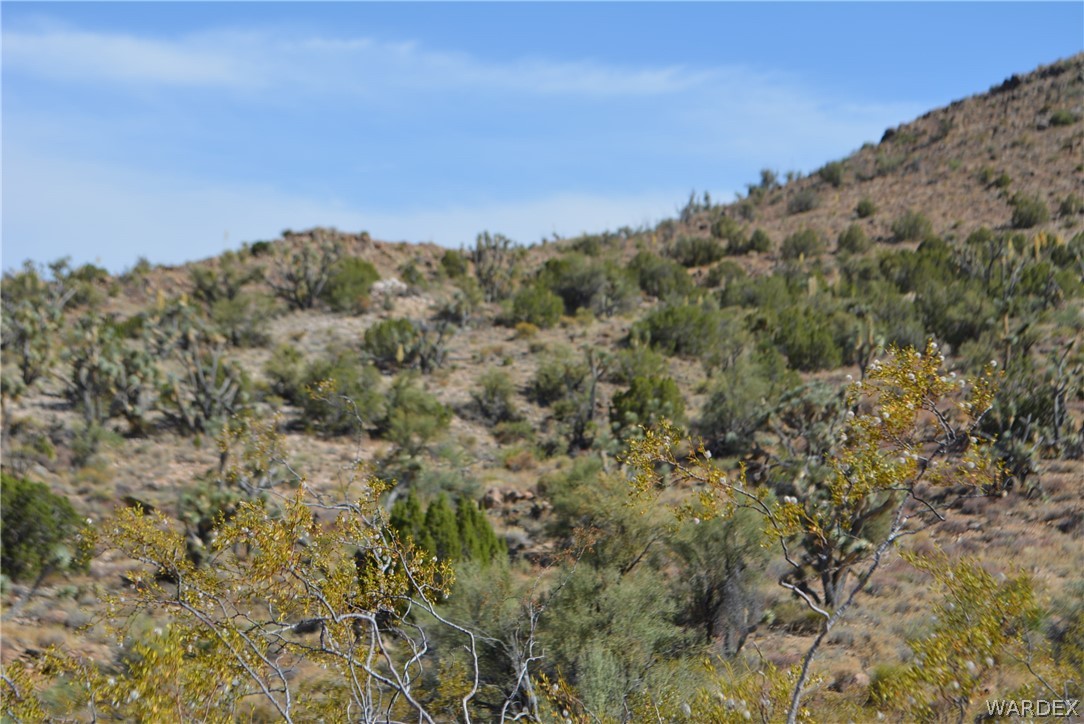 2396 Appaloosa Road Yucca, AZ 86438 - Photo 23 of 50 Gallery Image 23
