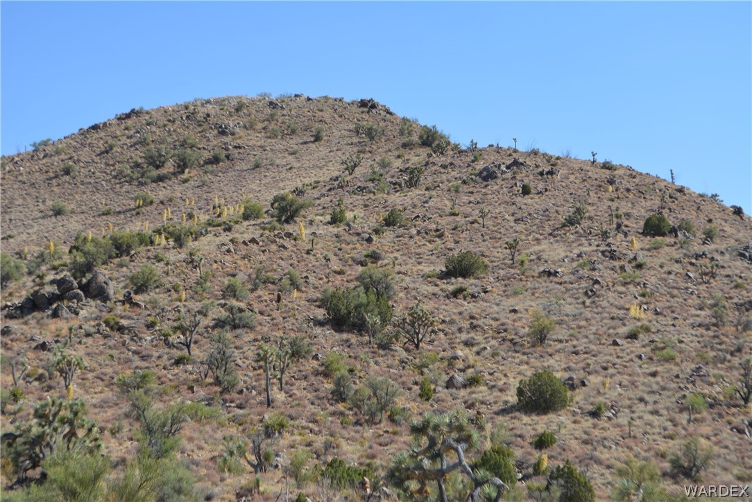 2396 Appaloosa Road Yucca, AZ 86438 - Photo 25 of 50 Gallery Image 25