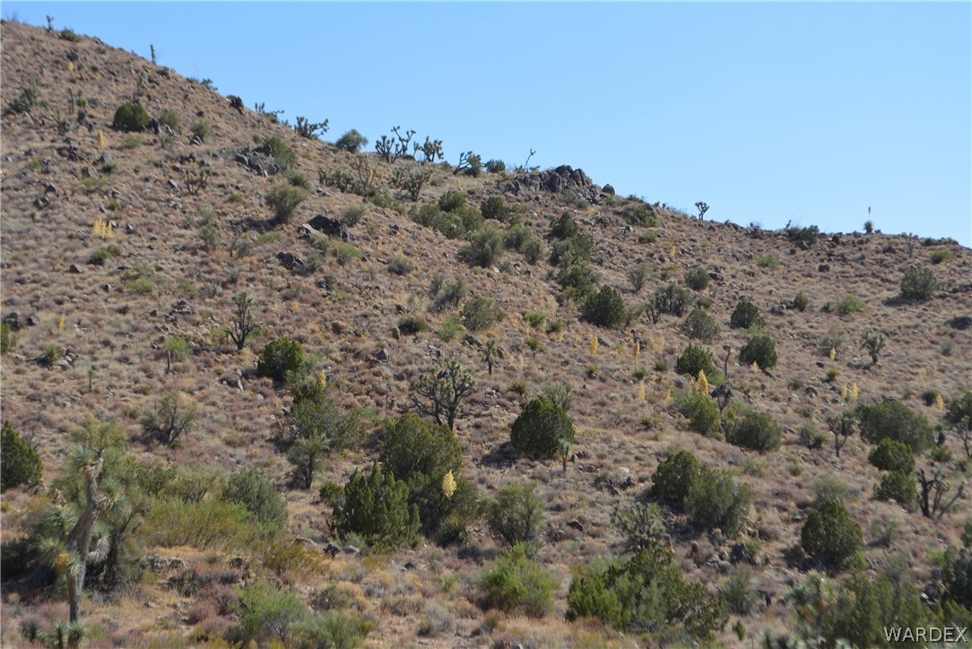 2396 Appaloosa Road Yucca, AZ 86438 - Photo 26 of 50 Gallery Image 26