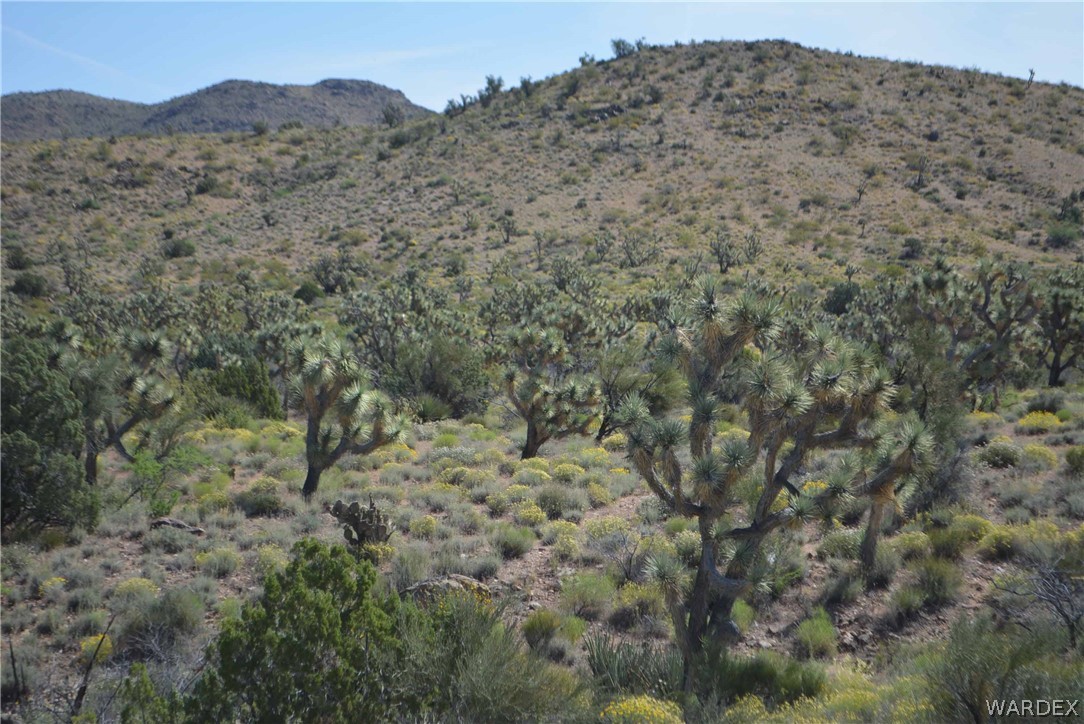 2396 Appaloosa Road Yucca, AZ 86438 - Photo 28 of 50 Gallery Image 28