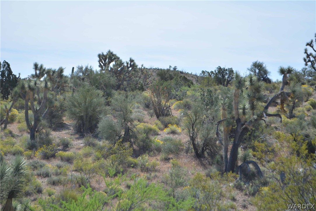 2396 Appaloosa Road Yucca, AZ 86438 - Photo 29 of 50 Gallery Image 29