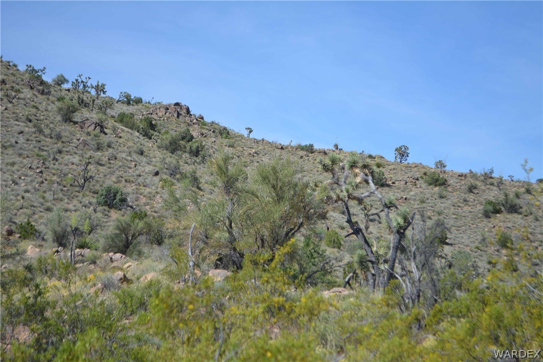 2396 Appaloosa Road Yucca, AZ 86438 - Photo 33 of 50 Gallery Image 33