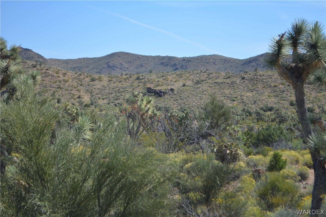 2396 Appaloosa Road Yucca, AZ 86438 - Photo 35 of 50 Gallery Image 35