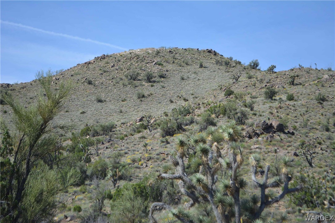 2396 Appaloosa Road Yucca, AZ 86438 - Photo 38 of 50 Gallery Image 38