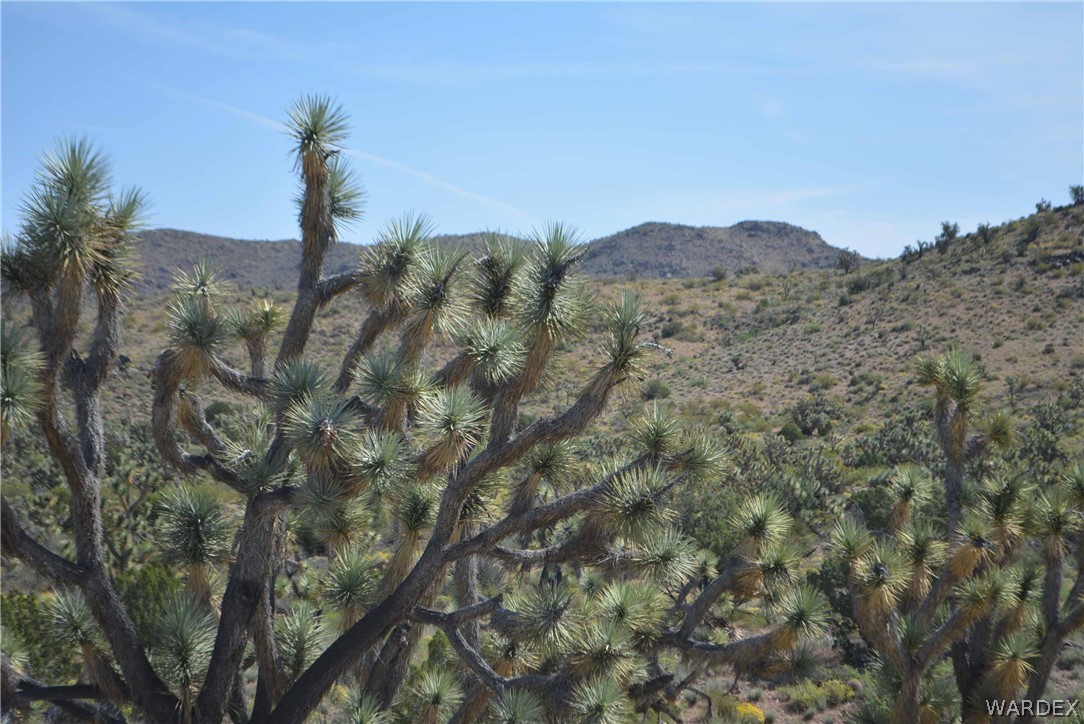 2396 Appaloosa Road Yucca, AZ 86438 - Photo 41 of 50 Gallery Image 41