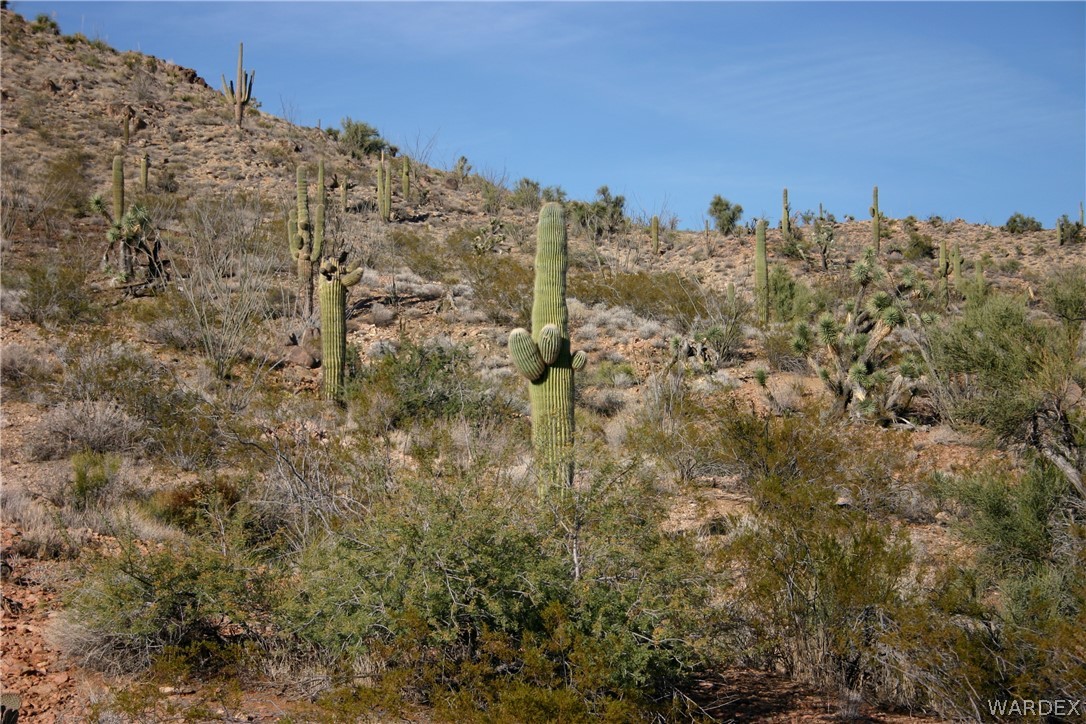 2396 Appaloosa Road Yucca, AZ 86438 - Photo 42 of 50 Gallery Image 42