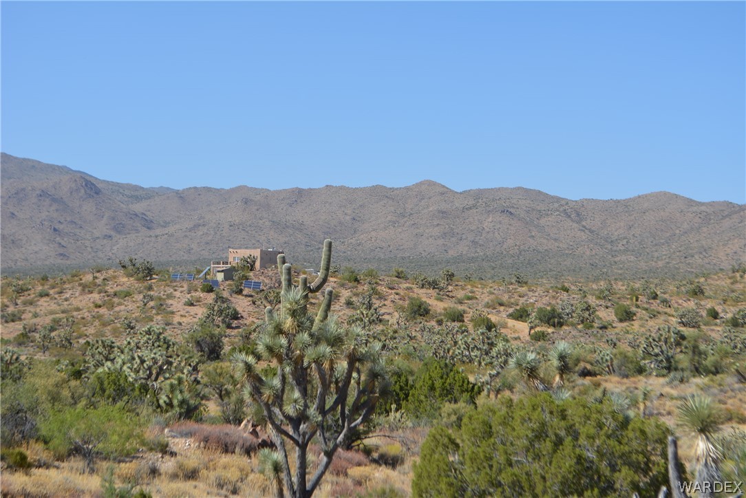 2396 Appaloosa Road Yucca, AZ 86438 - Photo 9 of 50 Gallery Image 9