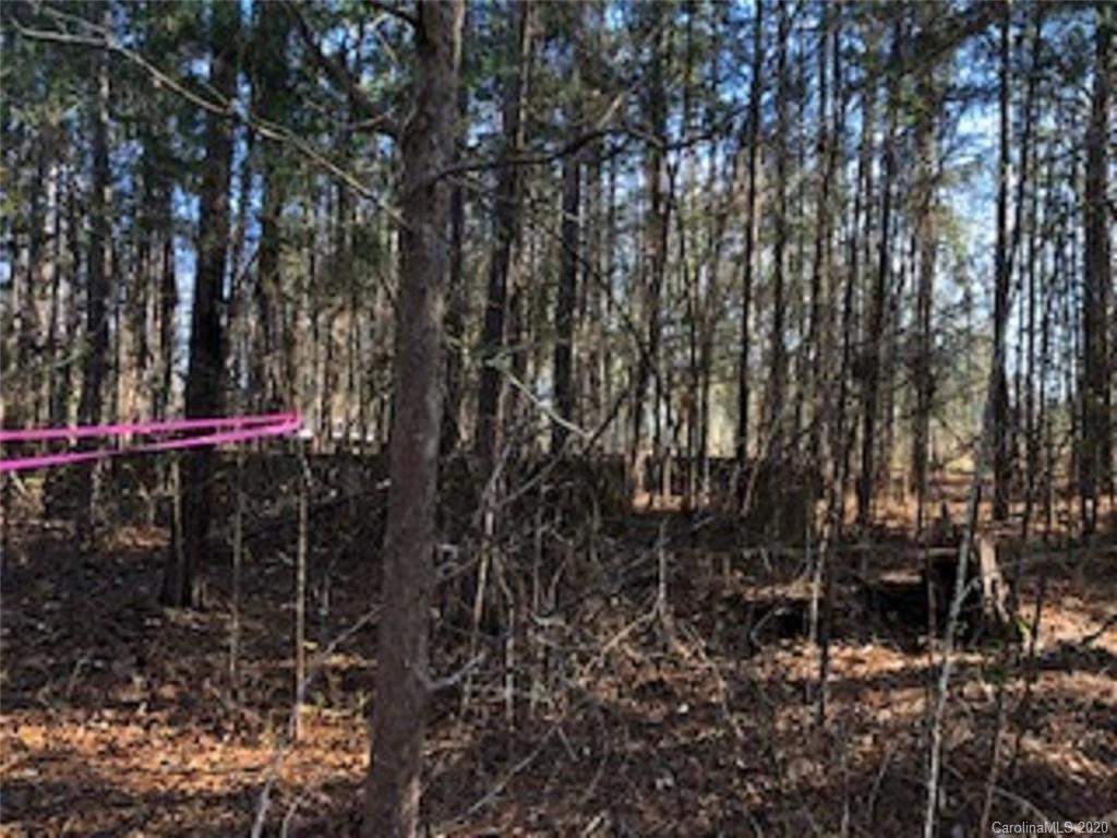 Barringer Rd Lot 26 Barringer Road Rock Hill, SC 29730 - Photo 10 of 15 Gallery Image 10