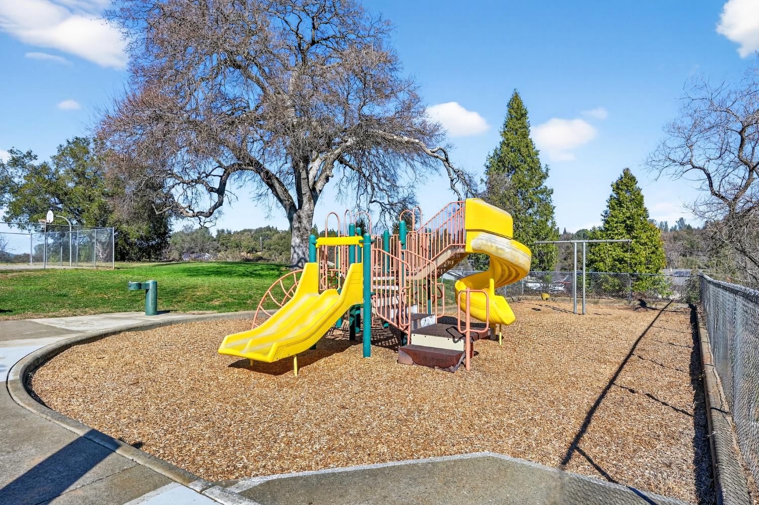 2320 Pintail Lane Placerville, CA 95667 - Photo 42 of 44