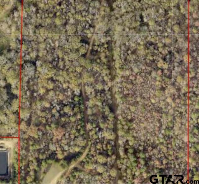 6 Venus Road Gladewater, TX 75647 - Photo 7 of 9
