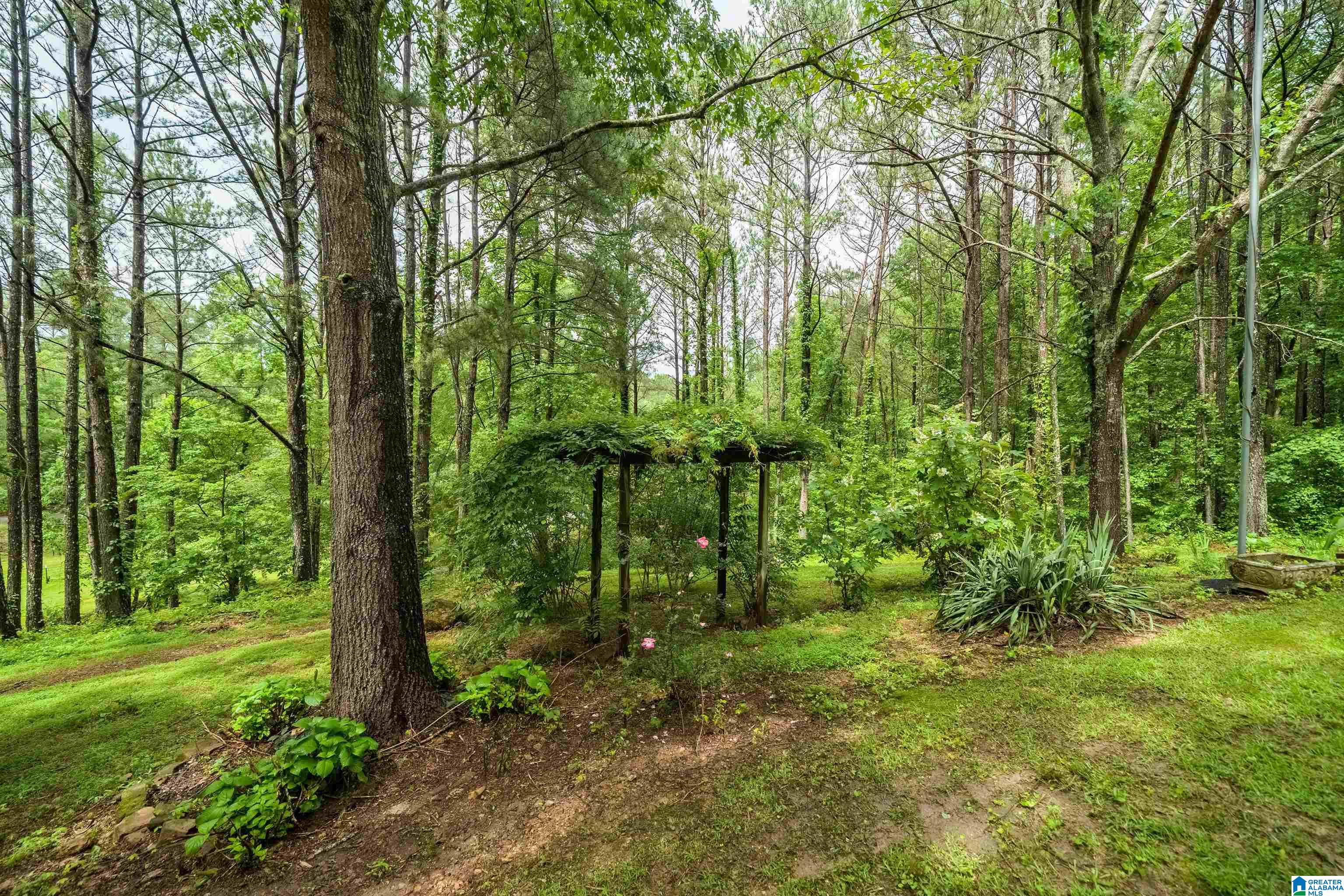 7521 Deer Haven Road Springville, AL 35146 - Photo 33 of 35