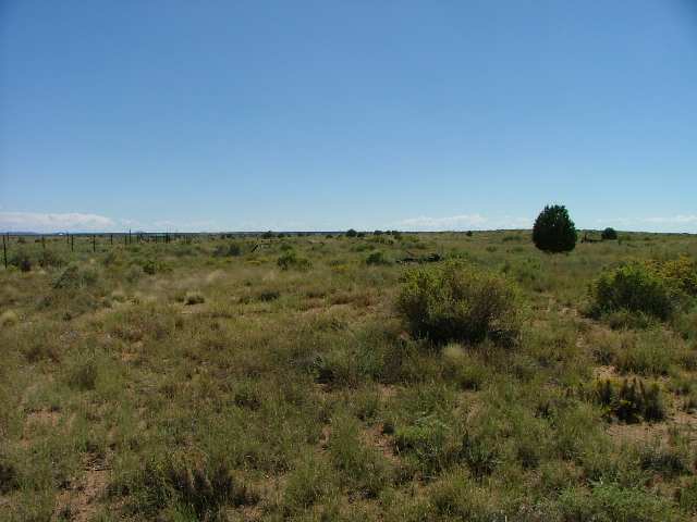 T14 North R23e Sec19 Tract63 Snowflake, AZ 85937 - Photo 3 of 5