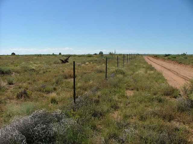 T14 North R23e Sec19 Tract63 Snowflake, AZ 85937 - Photo 4 of 5