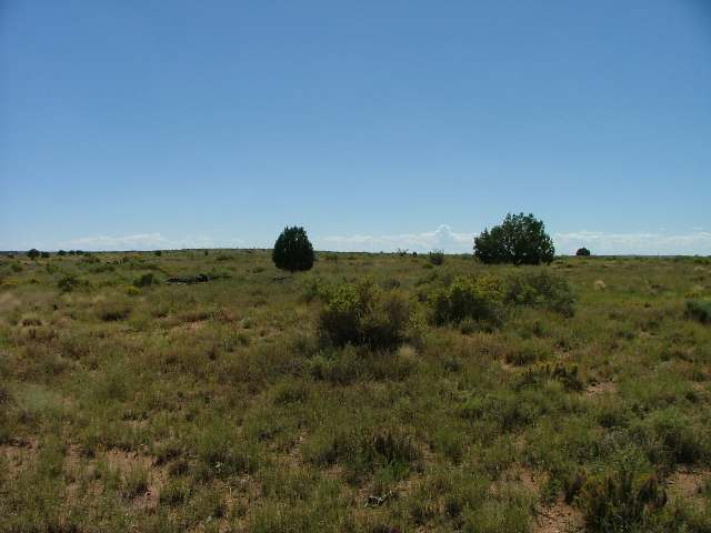 T14 North R23e Sec19 Tract63 Snowflake, AZ 85937 - Photo 5 of 5