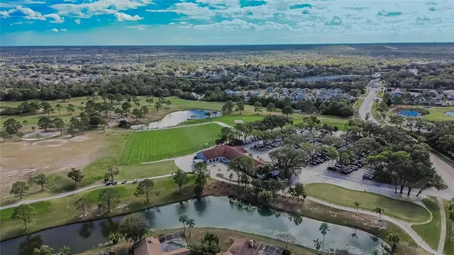 a view of a garden with a tree