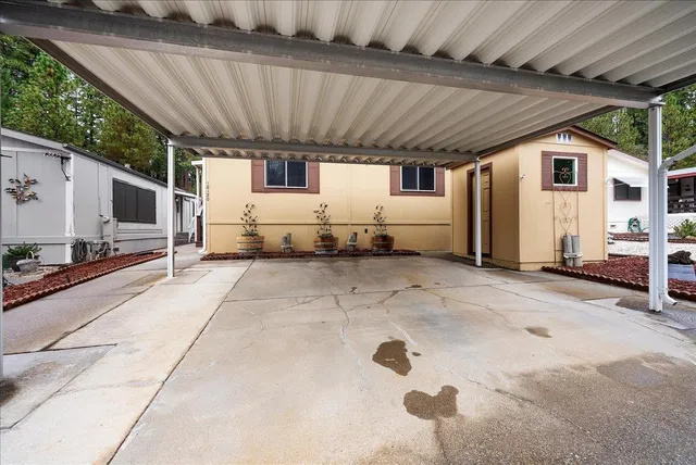 a park view with a bench plants and large trees