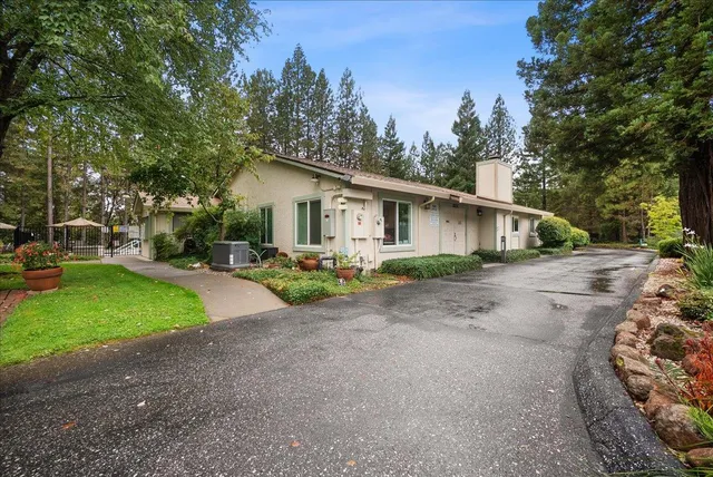 a view of a table and chair in the garden