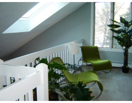 52 Eliot Hill Road Natick, MA 01760 - Photo 11 of 28 a living room with furniture and a potted plant