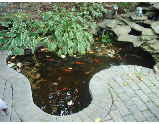 52 Eliot Hill Road Natick, MA 01760 - Photo 7 of 28 a view of a plant