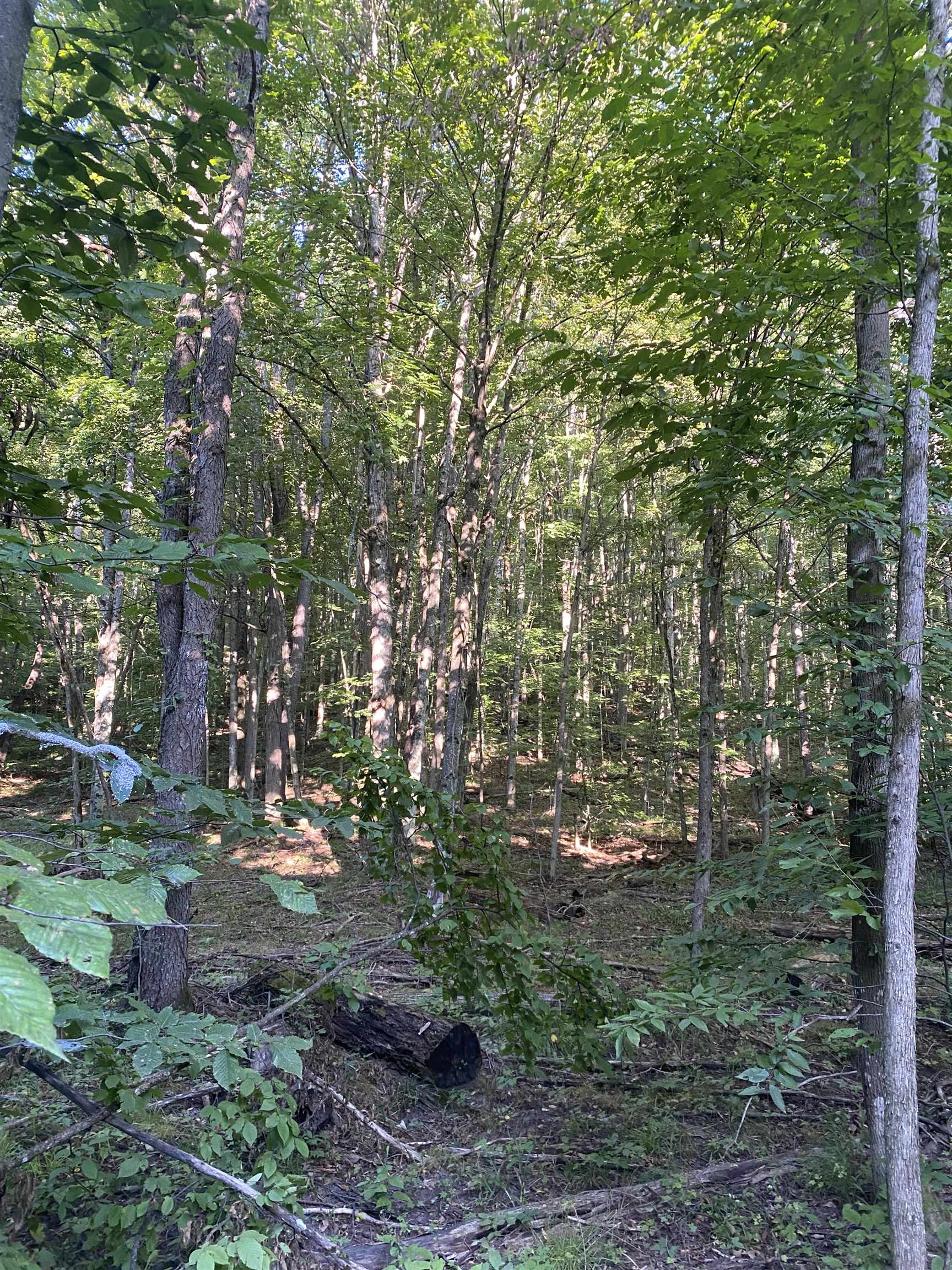 0 Dundas Road Northwest Alden, MI 49612 - Photo 2 of 8